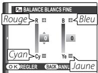 FUJIFILM HS10 - BALANCE BLANCS FINE - 1