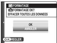 FUJIFILM HS10 - FORMATAGE - 1
