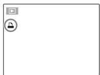 FUJIFILM HS10 - Conseil: Detection des visages - 2