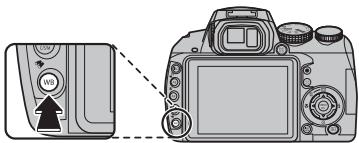 FUJIFILM HS10 - Recherche de photos - 1