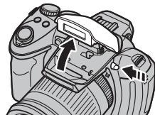 FUJIFILM HS10 - Déactualisation du flash - 1