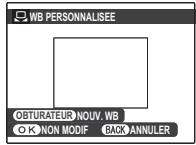 FUJIFILM HS10 - Balance des blancs personalisée - 1