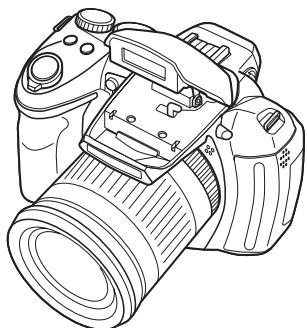 FUJIFILM HS10 - Manuel du propriétaire - 1