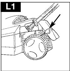 L1