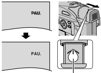 PAU. PAU.