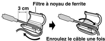 JVC GR-D720E - Comment fixer le filtre à noyau de ferrite - 2