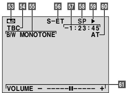 JVC GR-SXM48 - Indications sur l'écran LCD/dans le viseur - 2