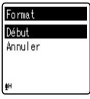 OLYMPUS VN-8600PC - Format - 2