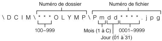 OLYMPUS C-2020 ZOOM - À propos du numéro de fichier et du numéro de dossier - 1
