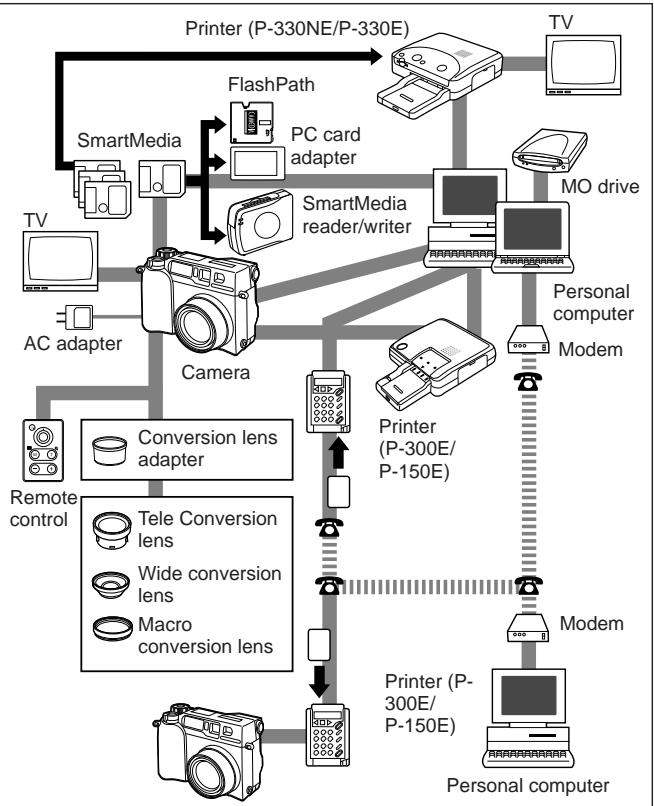 OLYMPUS C-2020 ZOOM - Notes on display and backlight - 1