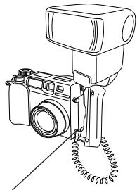 OLYMPUS CAMEDIA C-3000 ZOOM - Soll nur mit Zusatzblitz FL-40 geblitzt werden: - 1