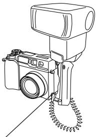 OLYMPUS CAMEDIA C-3000 ZOOM - When using the FL-40 extension flash only: - 1
