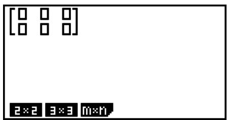 CASIO GRAPH 75 - - Pour spécifier les dimensions (la taille) d'une matrice - 2