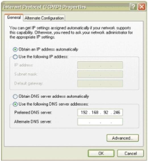 ALCATEL-LUCENT OMNIPCX OFFICE - Service DNS (domain name server) - 1
