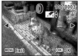 PENTAX OPTIO S60 - Édition de photographies avec des filtres numériques - 4