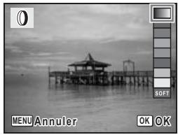 PENTAX OPTIO W10 - Utilisation des filtres numériques - 1