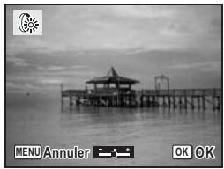 PENTAX OPTIO W10 - Utilisation du filtre brillance - 1
