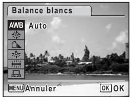 PENTAX OPTIO W10 - Réglage de la balance des blancs - 1