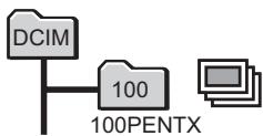 PENTAX OPTIO W10 - Modification du nom de dossier de l'image - 1