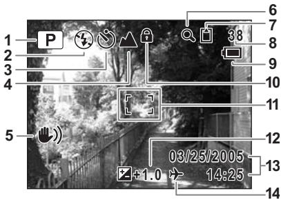 PENTAX OPTIO WP - Affichage normal en mode capture d'images fixes - 1