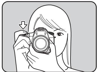 PENTAX K20D - Placez le sujet dans la mire AF et appuyez sur le déclencheur à mi-course. - 1