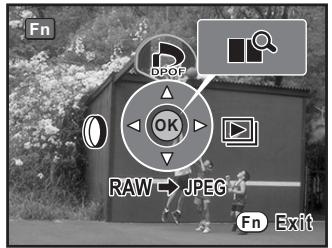 PENTAX K20D - Impression d'images uniques - 1