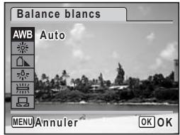 PENTAX OPTIO V20 - Réglage de la balance des blancs - 2