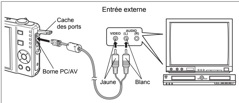 PENTAX OPTIO V20 - Branchement de l'appareil à un équipement audiovisuel - 1