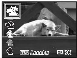 PENTAX OPTIO V20 - Prise de vue de votre animal familier (mode animaux domestiques) - 1