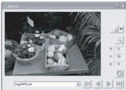 PENTAX PHOTO BROWSER 2.1 - Sélectionnez [Traitement personnalisé] dans le menu [Affichage] ou cliquez sur le bouton de l'icône de la barre d'outils, puis sur (Traitement personnalisé) dans la liste déroulante. - 1
