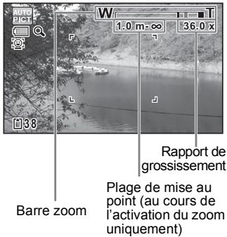 W 1.0 m - ∞ 36.0 x 38 Rapport de grossissement Plage de mise au point (au cours de l'activation du zoom uniquement)