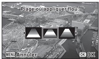 Plage où appliquer flou: MENU Annuler OK OK