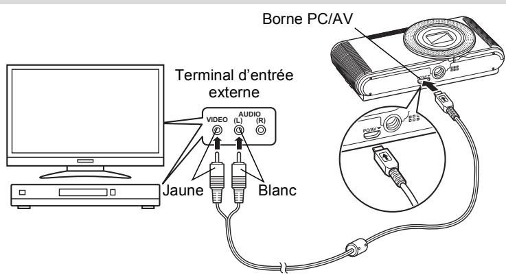 Borne PC/AV Terminal d'entrée externe VIDEO AUDIO (L) (R) Jaune Blanc