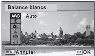 Balance blancs AWB Auto MENU Annuler OK OK