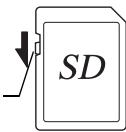 SD