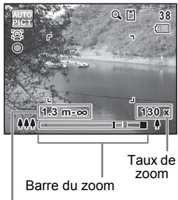 AUTO PICT 38 1.3 m-∞ 130 x Taux de zoom Barre du zoom