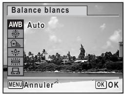 Balance blancs AWB Auto MENU Annuler OK OK