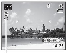 PENTAX OPTIO VS20 - Icône d'inclinaison en mode prise de vues - 1