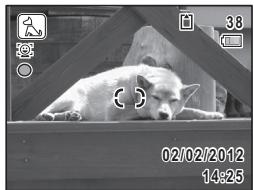 PENTAX OPTIO VS20 - Appuyez sur le bouton OK. - 1