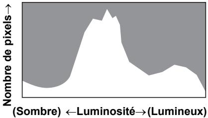 PENTAX OPTIO VS20 - Utilisation de l'Histogramme - 1