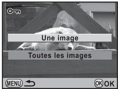 Une image Toutes les images