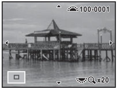 PENTAX K5 - Agrandissement d'images - 2