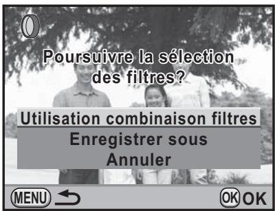 Poursuivre la sélection des filtres? Utilisation combinaison filtres Enregistrer sous Annuler