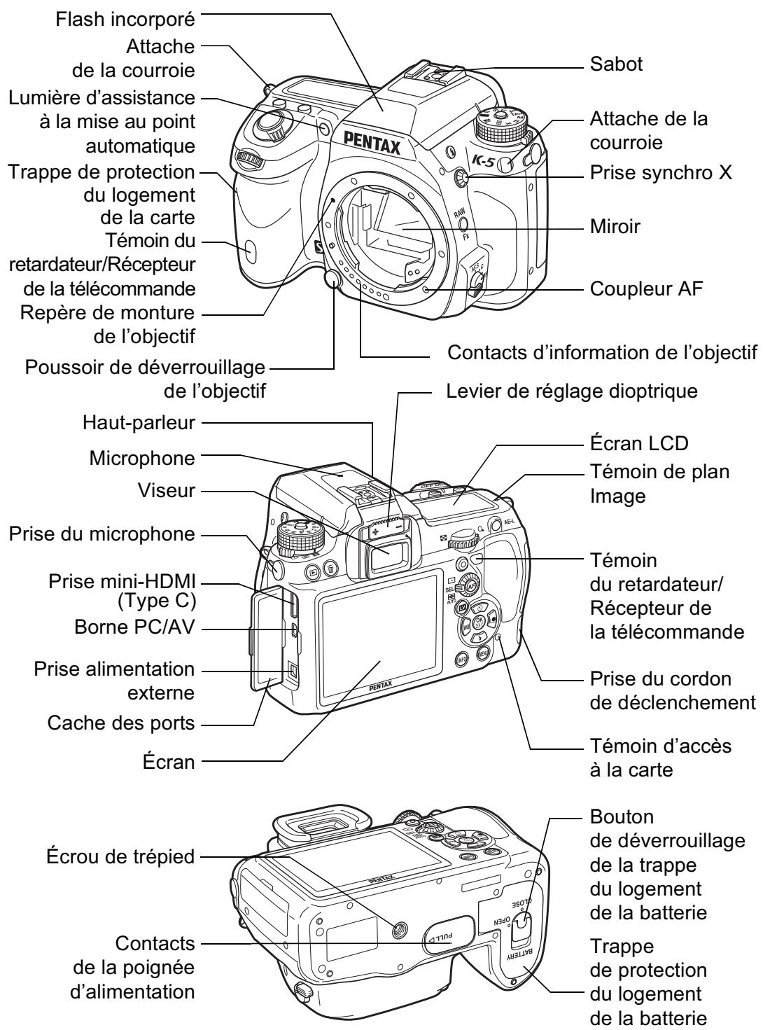 Flash incorporé Attache de la courroie Lumière d'assistance à la mise au point automatique Trappe de protection du logement de la carte Témoin du retardateur/Récepteur de la télécommande Repère de monture de l'objectif Poussoir de déverrouillage de l'objectif Sabot Attache de la courroie Prise synchro X Miroir Coupleur AF Contacts d'information de l'objectif Levier de réglage dioptrique Haut-parleur Microphone Viseur Prise du microphone Prise mini-HDMI (Type C) Borne PC/AV Prise alimentation externe Cache des ports Écran Écran LCD Témoin de plan Image Témoin du retardateur/ Récepteur de la télécommande Prise du cordon de déclenchement Témoin d'accès à la carte Écrou de trépied Bouton de déverrouillage de la trappe du logement de la batterie Trappe de protection du logement de la batterie Contacts de la poignée d'alimentation