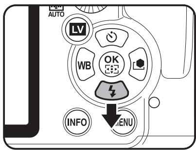 AUTO LV WB OK INFO MENU