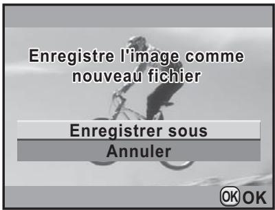 Enregistre l'image comme nouveau fichier Enregistrer sous Annuler OK OK
