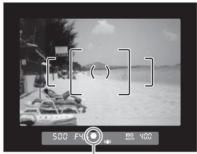 [ ( ) ] 500 Fy ISO 400 AUTO YOO