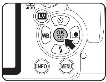 AUTO LV WB OK INFO MENU