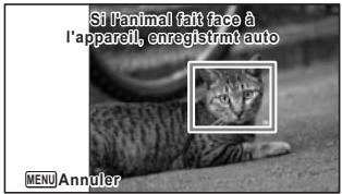 Si l'animal fait face à l'appareil, enregistmit auto MENU Annuler