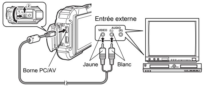 Entrée externe VIDEO AUDIO (L) (R) Jaune Blanc Borne PC/AV